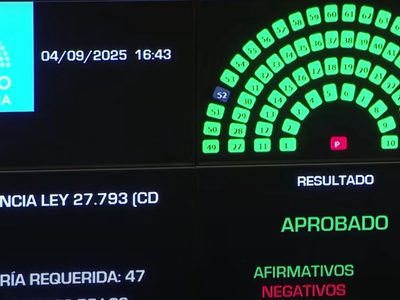 Discapacidad: el Senado rechazó el veto de Milei