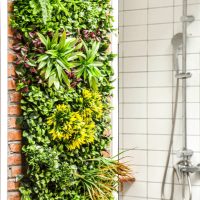 Si tenés un jardín vertical, mirá cómo preparar esta "solución madre" con pocos ingredientes para nutrir tus plantas