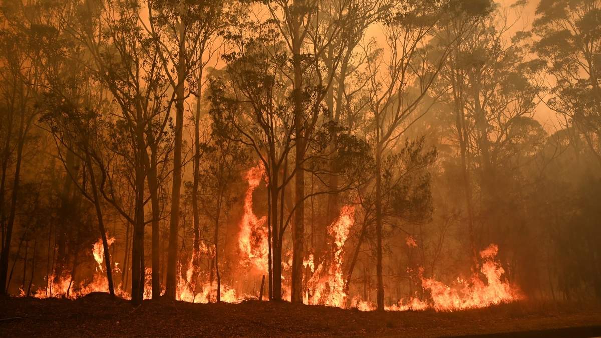 Las lluvias no sirvieron para apagar los incendios. Fuente: (Twitter)