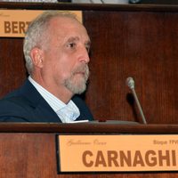 El diputado Carnaghi pidió debatir las tarifas provinciales