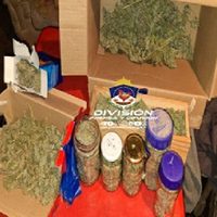 Secuestraron armas, drogas y hasta una granada de guerra en Neuquén