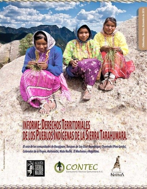 informe raramuri