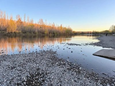 Emergencia ganadera y críticas a las represas por la crisis de agua en los ríos Limay y Neuquén