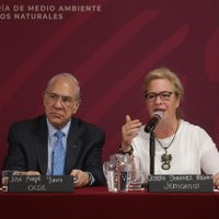 Gurría pide a López Obrador congruencia de megaproyectos con medio ambiente