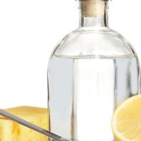 No tires las cáscaras de los cítricos: con solo 2 ingredientes, podés hacer tu propio antigrasa casero para tu cocina