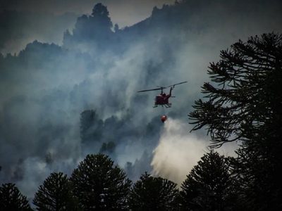 Con cuántos recursos se combate el incendio de Valle Magdalena