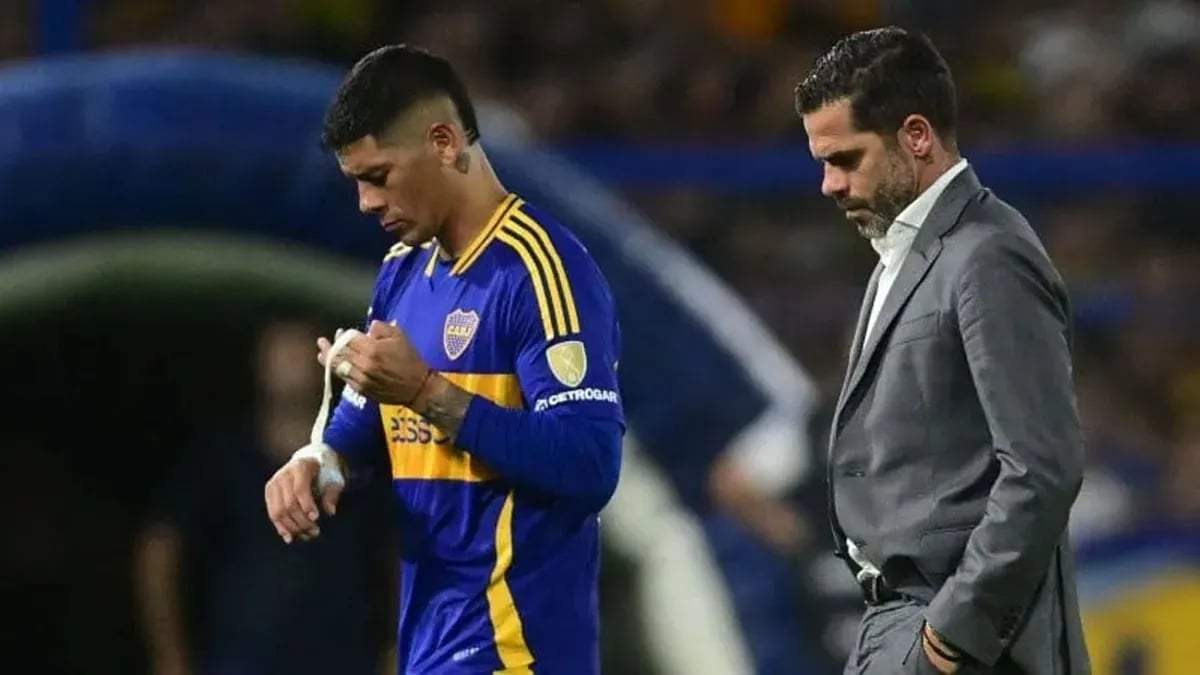 Boca Fuente: (X)
