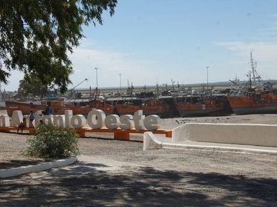 "Fauna maravillosa": Presencias deslumbrantes en San Antonio Oeste. Mirá