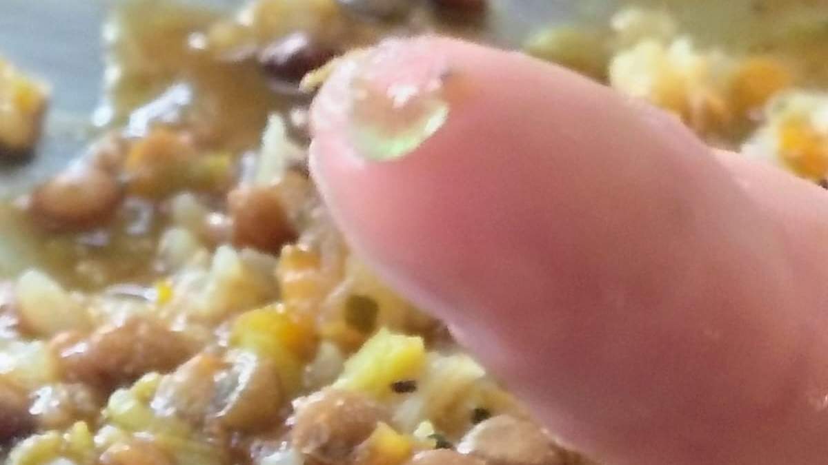 Aseguran que se sirvió guiso con trozos de vidrio en la EPEA 2 de Plottier. Fuente: (Propia)