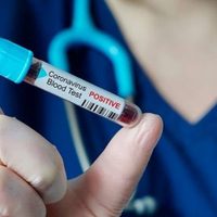¡Nuevo caso en Cinco Saltos! Son 97 los pacientes con coronavirus en Río Negro