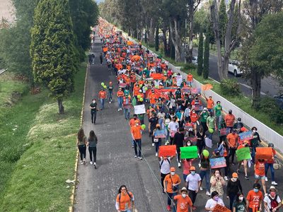 Los Jenkins amenazan con demandar a México por “persecución”