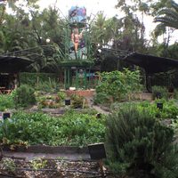 Roma Verde: actividades y voluntarismo