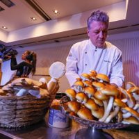 Los mejores chefs de Río Negro y Neuquén se dieron cita en "Bariloche a la Carta"