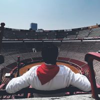 "Ni en contra ni a favor, lo que diga la ciudadanía": Sheinbaum sobre corridas de toros en CDMX