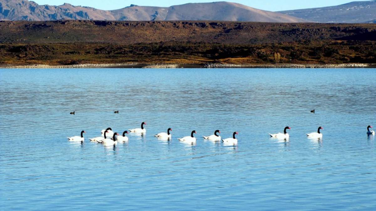 El Parque Nacional Laguna Blanca en todo su esplendor. Fuente: (Twitter)