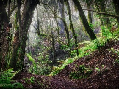 UE da luz verde a la ley de biodiversidad pese a protestas agrícolas