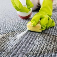 No gastes en especialistas: así podés limpiar tus alfombras, quitarles cualquier mancha y dejarles un aroma increíble