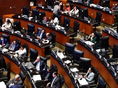 Senado aprueba que partidos puedan devolver a Tesorería prerrogativas para emergencias