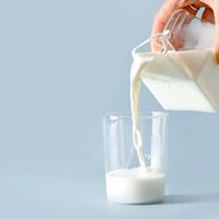 Antes de volver a comprar leche, tenés que conocer este importante dato para tu salud