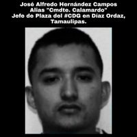 Abaten al “Comandante Calamardo”, mando del Cártel del Golfo rescatado en Reynosa