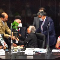Sánchez Cordero: plantaré en mi jardín la planta de mariguana