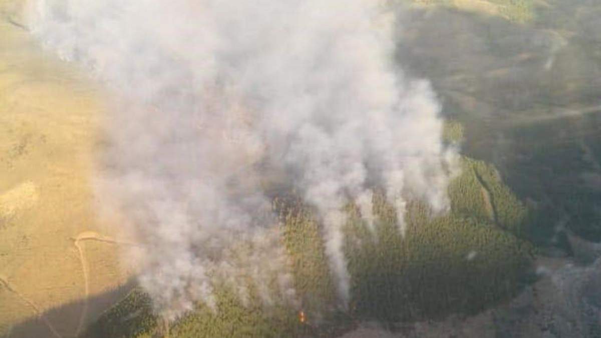 Incendio en El Bolsón. Fuente: (Twitter)