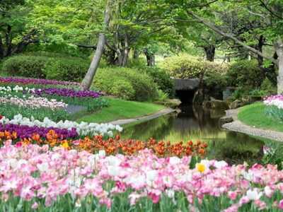 Qué flor es la ideal para vos y refleja tu personalidad, según tu fecha de nacimiento