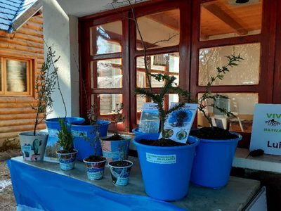 Villa Pehuenia: celebraron el Día del Árbol en el Vivero Provincial
