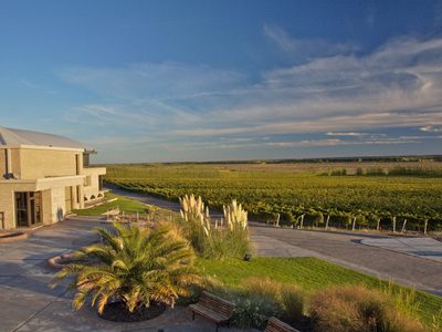 Neuquén: cuáles son las mejores bodegas para recorrer en vacaciones