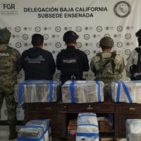 Muerte, droga y violencia en el muelle de Ensenada, Baja California