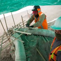 Suman más de 40 mil huesos de 480 mamuts encontrados en Santa Lucía