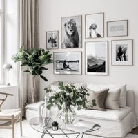 Ojo con lo que colgás en las paredes: el Feng Shui dice que estas fotos traen mala vibra