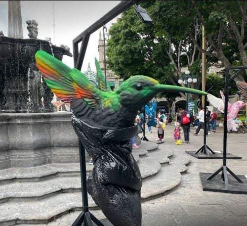 El ave que generó más discordias