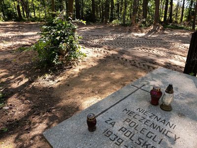 Encontraron las cenizas de más de 8 mil personas en un excampo de concentración nazi en Polonia