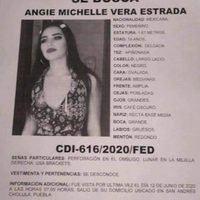 Identifican a siete presuntos responsables del feminicidio de Angie Michelle