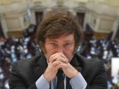 Javier Milei confirmó por fin lo que piensa sobre el aumento de los senadores