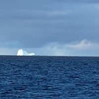 Alerta marítima en Tierra del Fuego, tras la aparición de un enorme iceberg