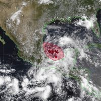 Se forma la depresión tropical Dos en el Golfo de México; esta es su trayectoria