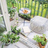 El truco viverista para hacer esquejes de tus plantas y no gastar fortuna en comprar unas nuevas
