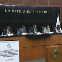 En Parlamento Abierto, ONG cuestionan la reelección de Rosario Piedra Ibarra en la CNDH