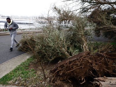 Muere técnico de empresa eléctrica tratando de reparar cable tras tormenta