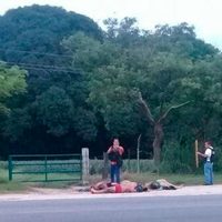 La violencia va en aumento en Oaxaca: reportan seis ejecutados en Loma Bonita