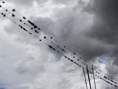 CDMX sin cables de Internet, telefonía y TV de paga