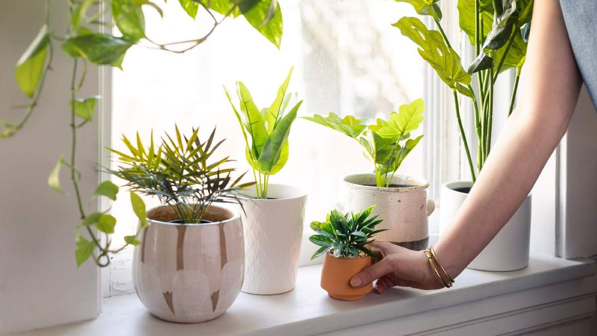 Plantas artificiales. Fuente: (Instagram)