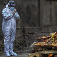 Nueva crisis sanitaria en India: médicos luchan por frenar la propagación del hongo negro