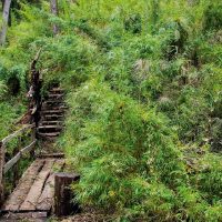 Verano en Neuquén: cómo llegar al escondido paraíso de aguas termales cerca de San Martín de los Andes