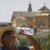 La ONU pronosticó que las olas de calor continuarán durante varias décadas: cuándo será el pico