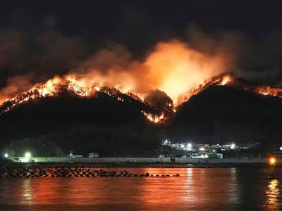 Incendio forestal en Japón ha causado daños a decenas de hogares y obligado a cientos a evacuar