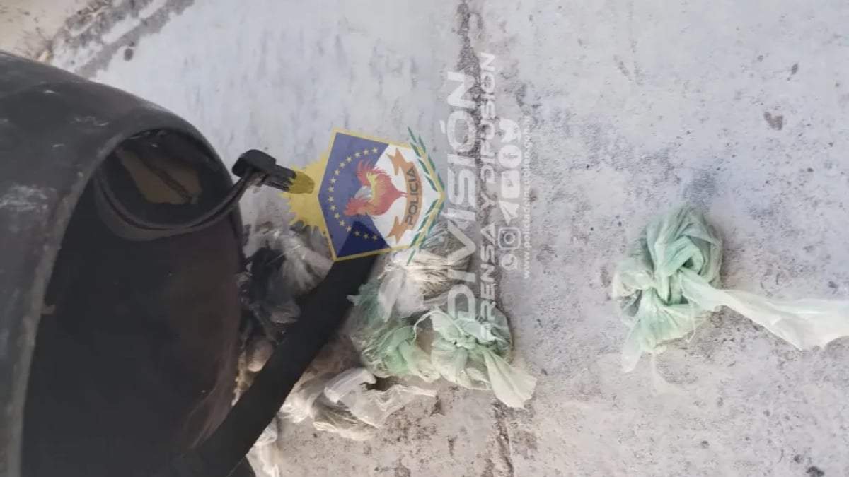 Secuestro de cannabus sativa. Fuente: (Policía de Neuquén)