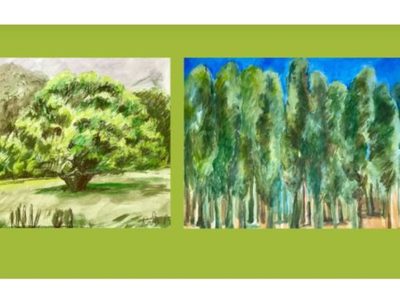 "Bosque íntimo" / Individual de Teresa Cito
